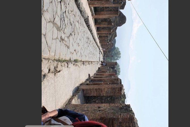 Pompeii, Vesuvius & Wine Tasting Private day Tour - Pompeii: what you’ll see and how to use your time
