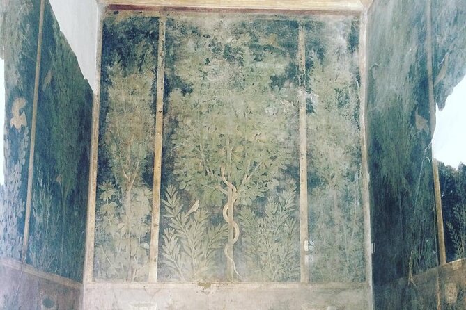 Pompeii walking tour (2hrs) - What you’ll see: theatres, shops, homes, baths, and gladiator life