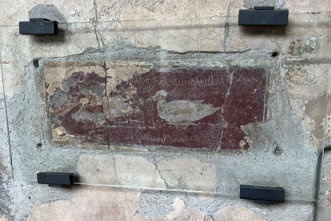 Pompeii walking tour (2hrs) - Price and logistics: what $60.08 covers (and what doesn’t)