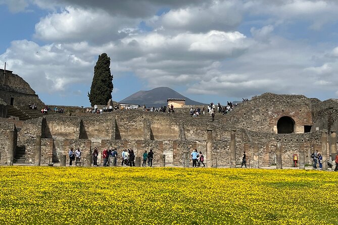 Pompeii walking tour (2hrs) - Entering the Archaeological Park from Piazza Esedra