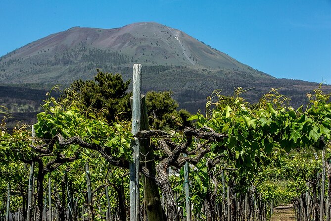 Pompeii with Wine Tasting and Lunch from Naples - Cameos and corals: the “small stop” that adds real texture