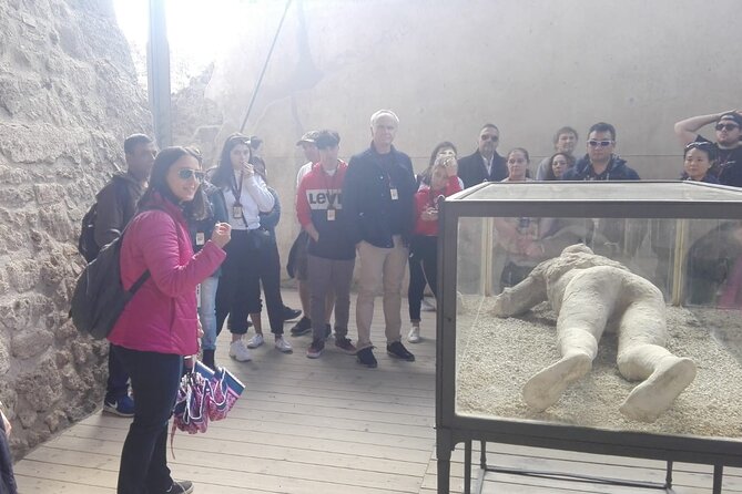 Pompeii with Wine Tasting and Lunch from Naples - Campania Ars Vinearia: walking Vesuvius vineyards on volcanic soil