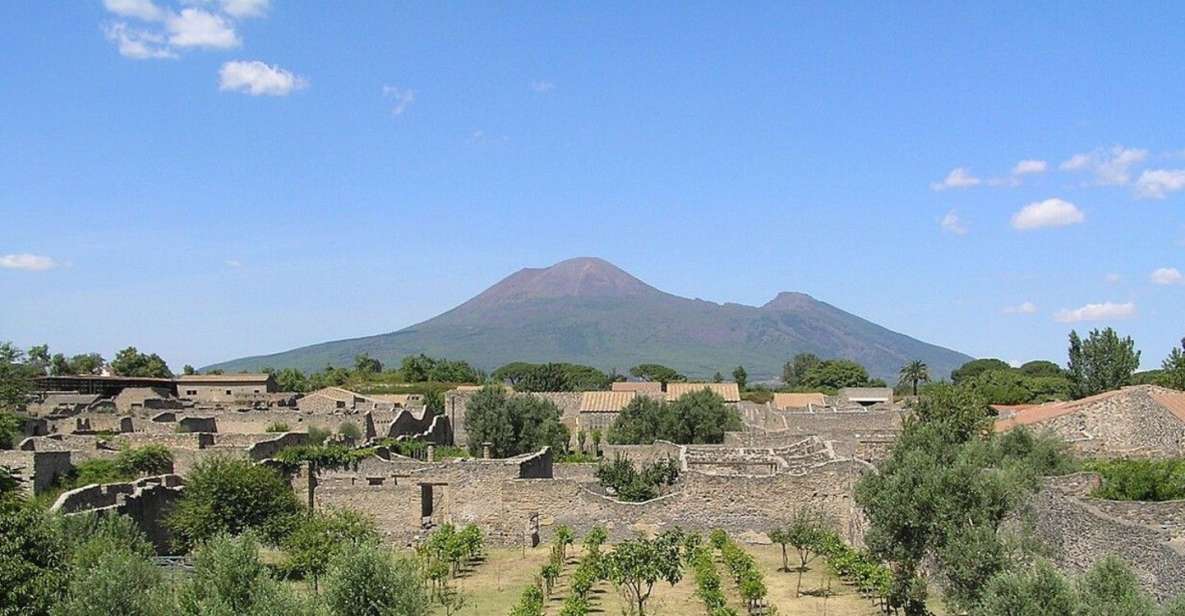 Pompeii with Wine Tasting Private Tour - Key points that make this tour worth your time