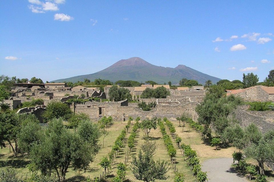 Pompeii with Wine Tasting Private Tour - FAQ