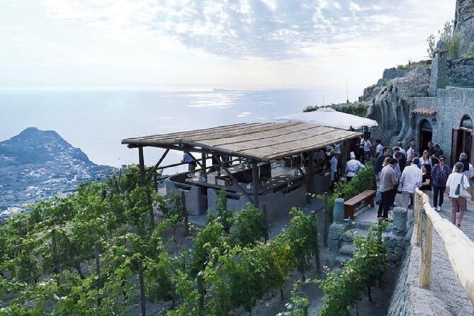 Premium Ischia Wine Tasting Experience with Transfer Included - Pickup and drop-off: the convenience you’re paying for