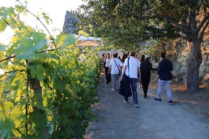 Premium Ischia Wine Tasting Experience with Transfer Included - The guided tasting: 4 Ischia wines with food pairing