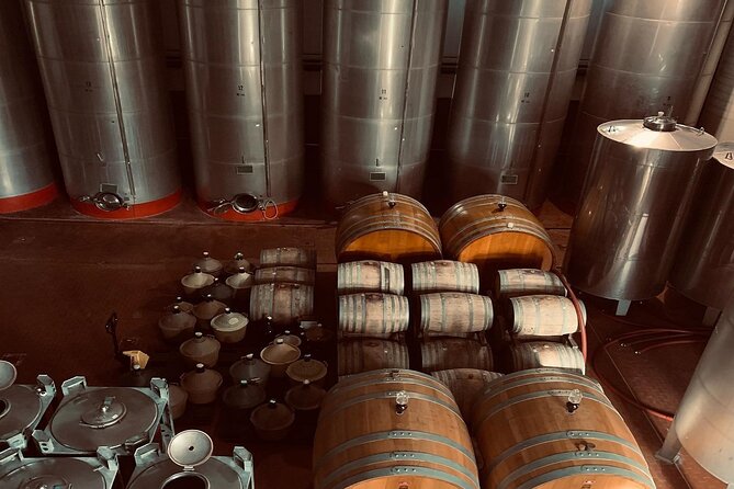 Premium Ischia Wine Tasting Experience with Transfer Included - What you’ll actually learn (and what to do while you taste)