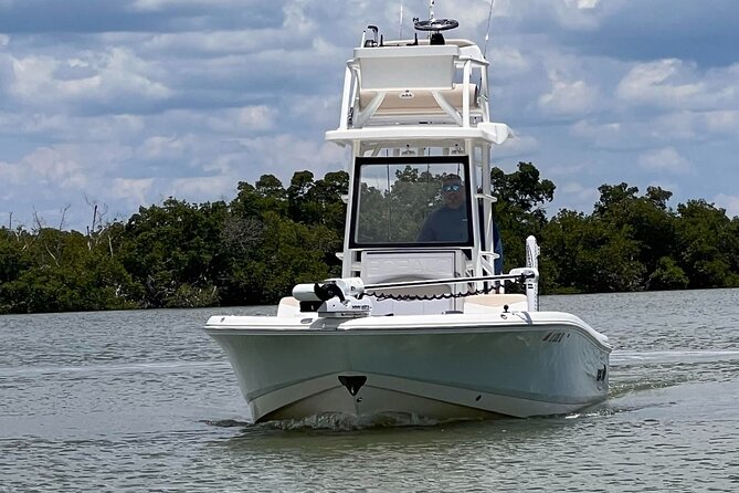 Private 4 Hour Shelling , Fishing and Eco Tour Marco Island FL - Captain Jason’s role: why the day feels smooth