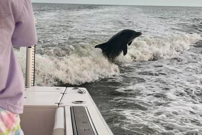 Private 4 Hour Shelling , Fishing and Eco Tour Marco Island FL - Who this tour fits best