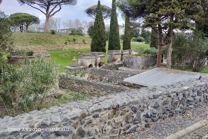 Private Archaeologist service to explore Pompeii's secrets any time ticket incl. - How guides keep the pace right for your group