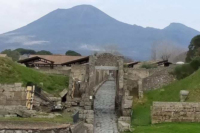 Private Archaeologist service to explore Pompeii's secrets any time ticket incl. - Should you book Pompeii Trip&Transfer’s private archaeologist tour?