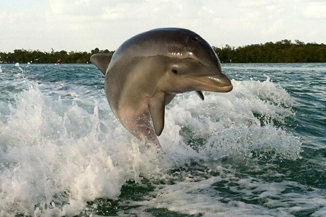 Private Beach or Sunset Boat Tour In Naples Florida - Why This Naples Private Boat Tour Feels Like Your Own Day