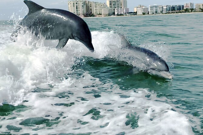 Private Best of Marco Island Dolphin Tour - Goodland Departure: Fishing Village Feel Before the Wildlife Water