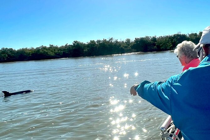 Private Best of Marco Island Dolphin Tour - Cape Romano Tip Might Happen: Extra Coastline Time South of Marco Island