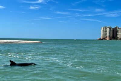 Private Best of Marco Island Dolphin Tour - Into the Ten Thousand Islands National Wildlife Refuge for Wild Bottlenose Dolphins