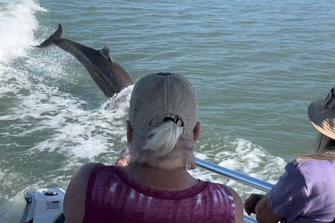 Private Best of Marco Island Dolphin Tour - Price and Value: $500 Per Group (Up to 6) for About Two Hours