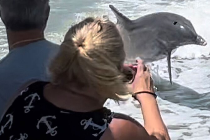 Private Best of Marco Island Dolphin Tour - What’s Included, What Isn’t, and What to Bring for Comfort