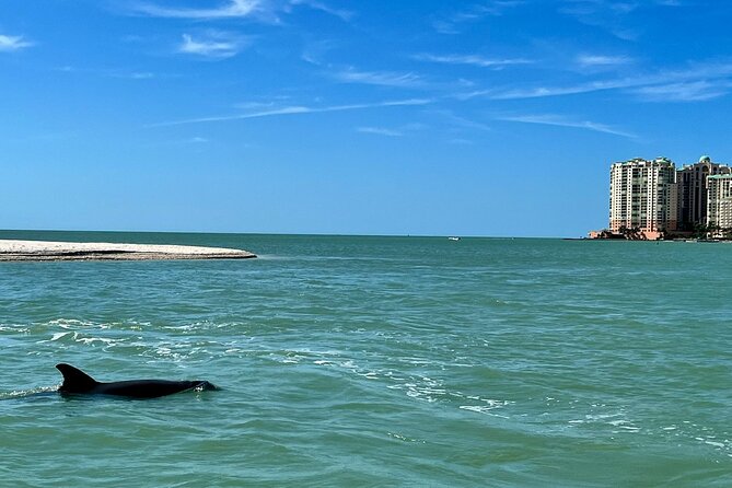 Private Best of Marco Island Dolphin Tour - Into the Ten Thousand Islands National Wildlife Refuge for Wild Bottlenose Dolphins
