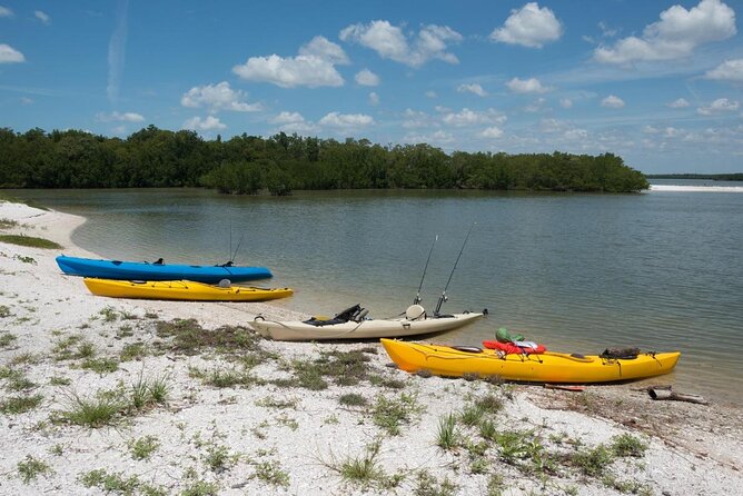 Private Best of Marco Island Tour - Key Things You’ll Notice on This Private Marco Island Tour