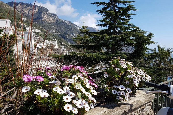 Private Day Tour of Amalfi Coast - Who should book this private day tour
