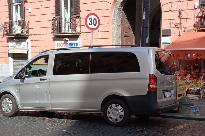 Private day tour: Pompei and Herculenium. - Drivers who make the day feel easy (and their English support)