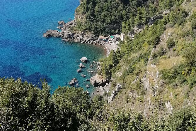Private day tour: Pompeii, Sorrento and Positano. - Price and What You’re Really Paying For ($420.49 per Person)
