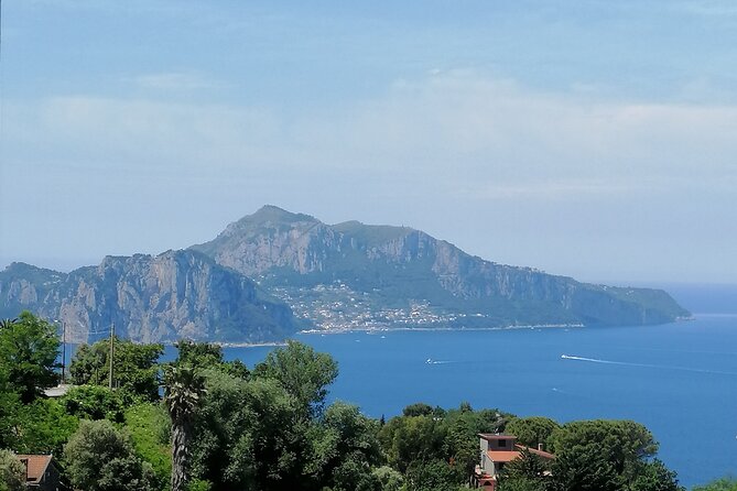 Private day tour: Pompei,Vesuvius and Herculaneum. - Vesuvius National Park and the Bay of Naples views: plan for ticket reality