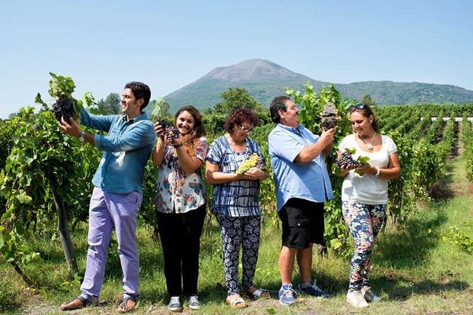 Private day tour: Sorrento, Positano, Amalfi and Ravello. - What You Get (And What You Don’t) for $479.31 Per Person