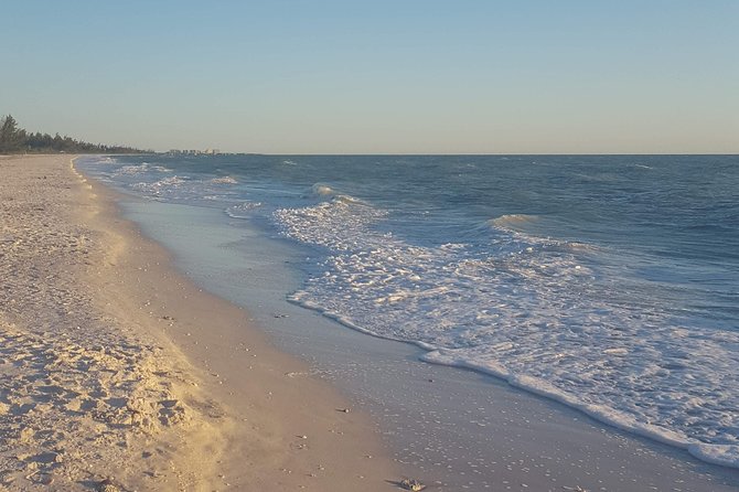 PRIVATE Eco Boat Trip out of Naples Bay, FL , island stop incl. - Who should book this Naples Bay eco boat trip?