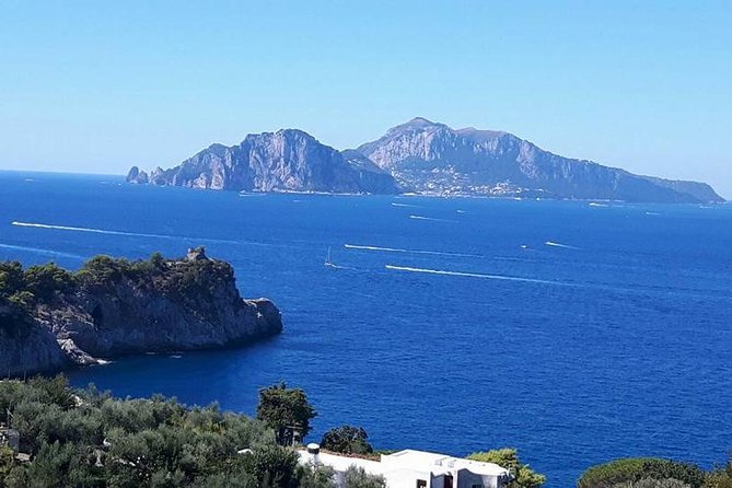 Private Exclusive Tour of Positano & Sorrento + Farmhouse Lunch - Azienda Agricola la Sorgente: The Farm Lunch That Changes the Day