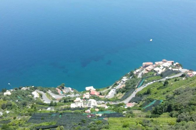 Private Exclusive VIP Tour of Positano, Pompeii & Mount Vesuvius - Price and What You’re Really Paying For