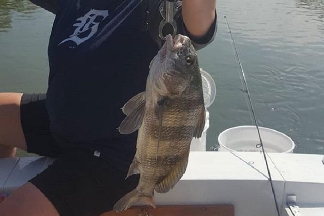 Private Fishing Boat Charters in Naples Bay and the Gulf - The Fishing Plan: Mangroves, Lines in the Water, and a Captain Who Knows the Rhythm
