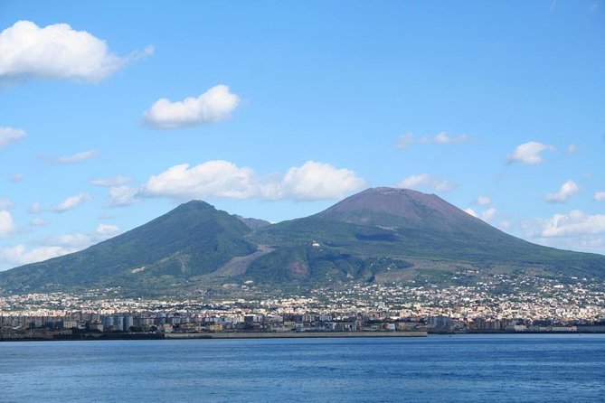 Private Full-Day Tour to Pompeii and Mt. Vesuvius with Winery Visit - Stop 3: Pompeii—self-paced time or an upgrade with a guide