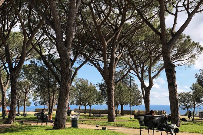 Private Guided Half Day Panoramic Tour in Naples - Naples on two wheels: what makes this tour feel worth it