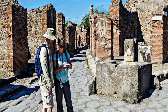 Private Guided Tour in Pompeii - Your 2-Hour Pompeii Visit: Highlights With a Human Guide
