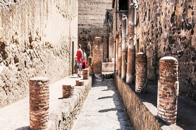 Private Guided Tour in Pompeii - Who This Private Pompeii Tour Is Best For