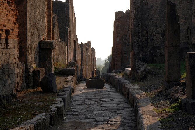 Private Guided Tour in Pompeii - Meet the Guide and Driver: The Names People Remember