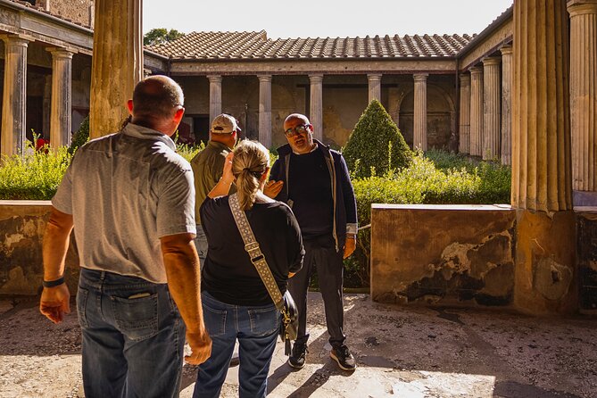 Private guided tour Of Pompei - Key highlights to look for