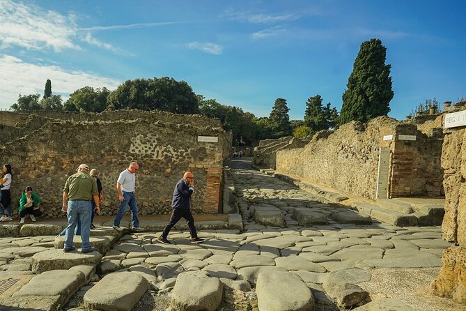 Private guided tour Of Pompei - Getting There: Meeting Point, Pickup, and Staying Sane