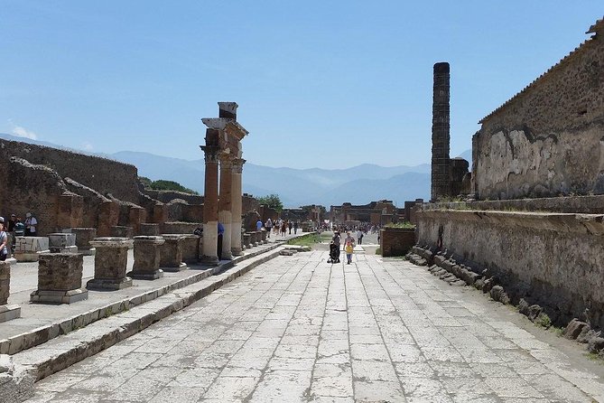 Private Guided Tour of Pompeii and Herculaneum - Price and Value: Is $216.86 Worth It?
