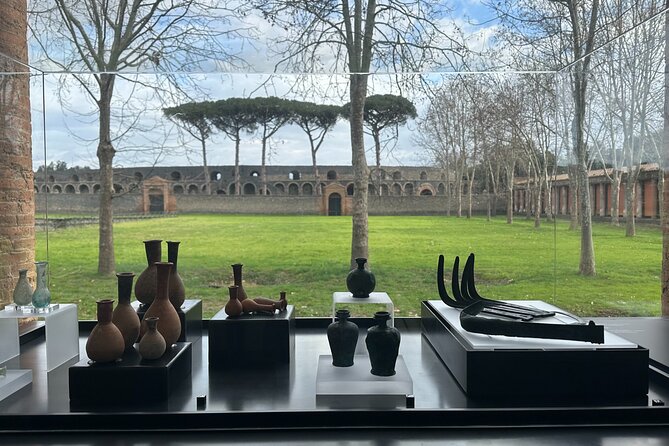 Private Guided Tour of Pompeii Excavations - Pompeii makes more sense when you start with the right guide