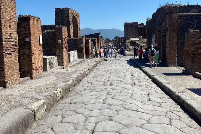 Private Guided Tour of Pompeii Excavations - Porta Marina Superiore start: why skipping the line feels like free time