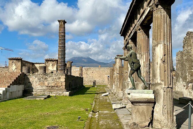 Private Guided Tour of Pompeii Excavations - Price and value: $300.40 per group plus the €18 ticket