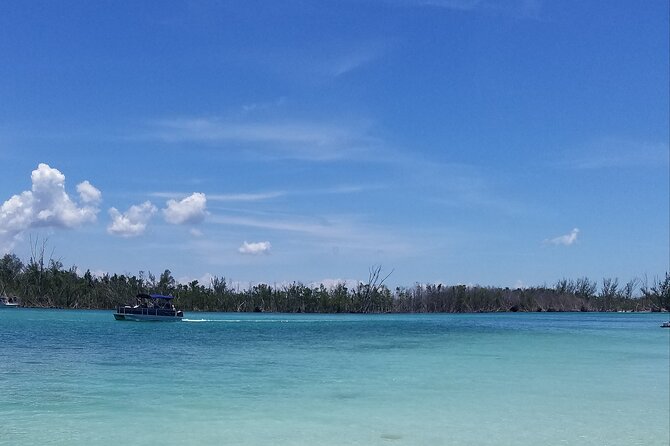 Private Half-Day Charter Tour in Naples, Florida - Where you start: 1575 Danford St and the half-day rhythm