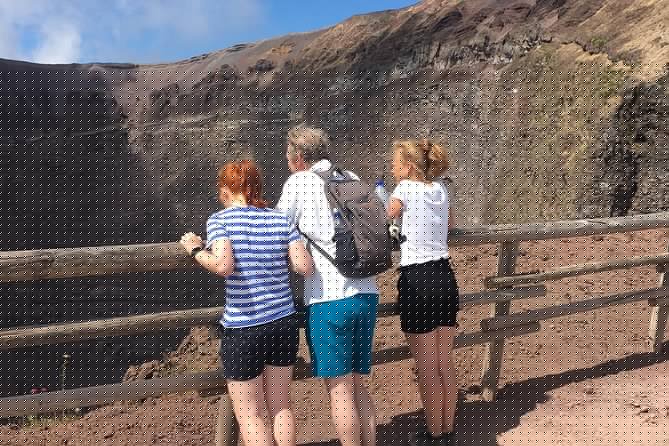 Private Half-Day Sightseeing Tour of Vesuvius National Park - Price and Value: What You’re Really Paying For