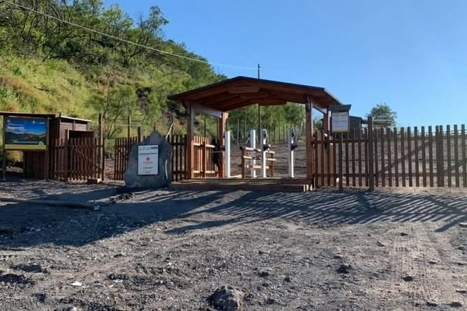 Private Half-Day Sightseeing Tour of Vesuvius National Park - Weather, Timing, and the Reality of the Gates