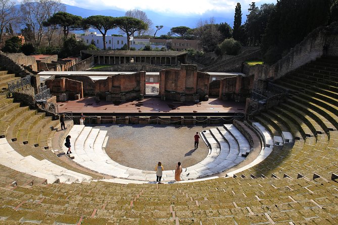 Private Half-Day Tour of The Pompeii Ruins Highlights and Mann - Why this 4-hour route works for most people