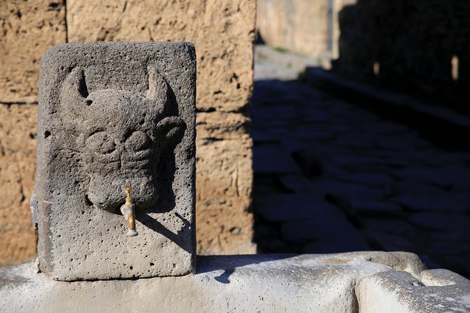 Private Half-Day Tour of The Pompeii Ruins Highlights and Mann - Stabian Baths and Teatro Grande: daily life plus big moments