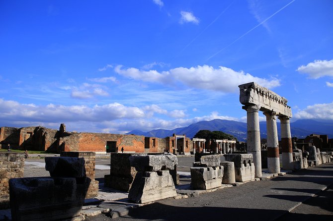 Private Half-Day Tour of The Pompeii Ruins Highlights and Mann - Price and logistics: what you’re paying for, and what you’re not