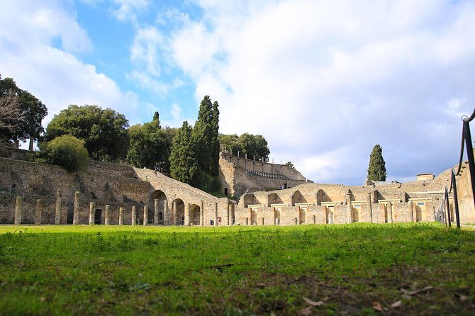 Private Half-Day Tour of The Pompeii Ruins Highlights and Mann - Which guides style you’ll be happiest with